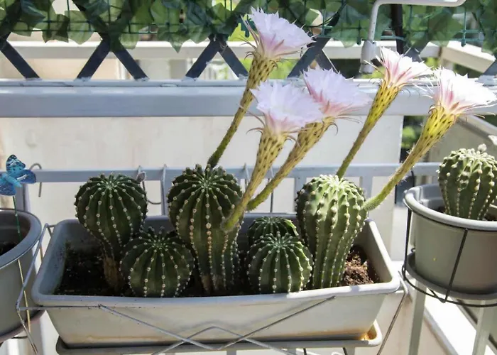 Apartment Mariana's Modern House In Thessaloniki